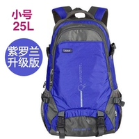 Маленькая фиолетовая