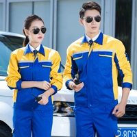 [Новая модель] Сокровище синий с желтым (набор)