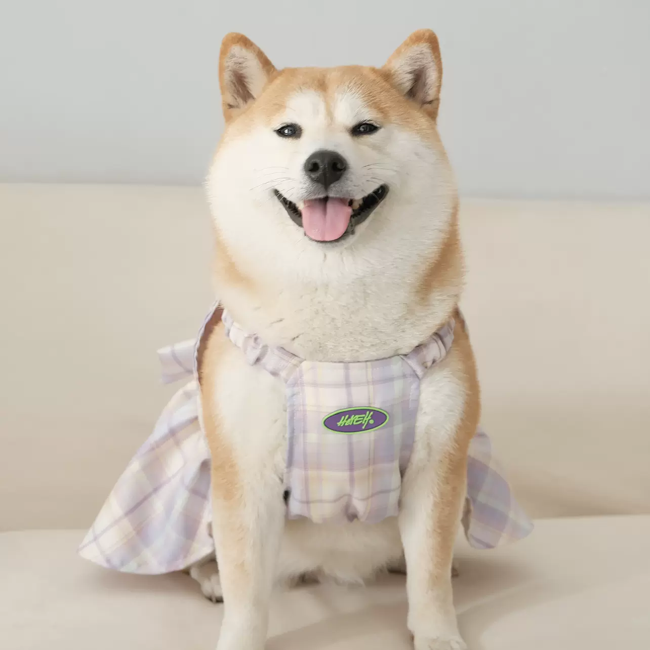 柏万同款柴犬jk制服百褶裙狗狗猫咪衣服中小型犬宠物少女裙