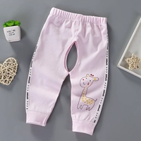 Gyeenical QK Sports Deer Powder