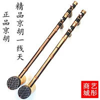 Jinghu Instrument Professional Ebonic