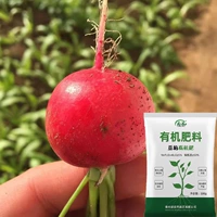 Carolol Fruit Cherry Cartore 50 г нагрузка +1 фунт соевой еды Органические удобрения