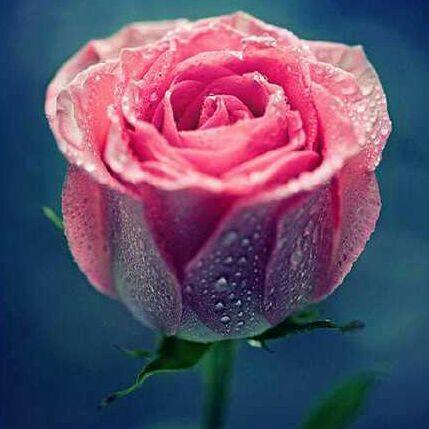 爱逛街为您找到星期裤相关的宝贝,您可以在下面的板块中挑选喜欢的