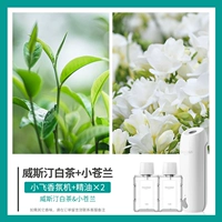 Xiaofei+Westin White Tea+Hilton [Hot Product Hot Sale]