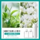 Xiaofei+Westin White Tea+Hilton [Hot Product Hot Sale]