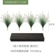 Little Wolf Tail Botanical Pack B 【Forest Green 55 см】