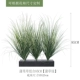 Puwei Cao Group 85 см [Forest Green]