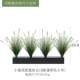 Little Wolf Tail Botanical Group B (Pucao Color 55 см]