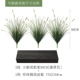 Little Wolf Tail Botanical Pack D [Puwa Color 95 см]