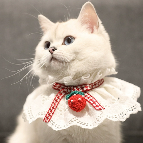 Милый шарф, клубника, слюнявчик, кот, домашний питомец