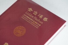 Искусство других 正版现货 金色海昏 汉代海昏侯国历史与文化展 精装