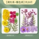 【Сухой цветочный мешок】 Желтый+фиолетовый 1 упаковка/20 таблеток