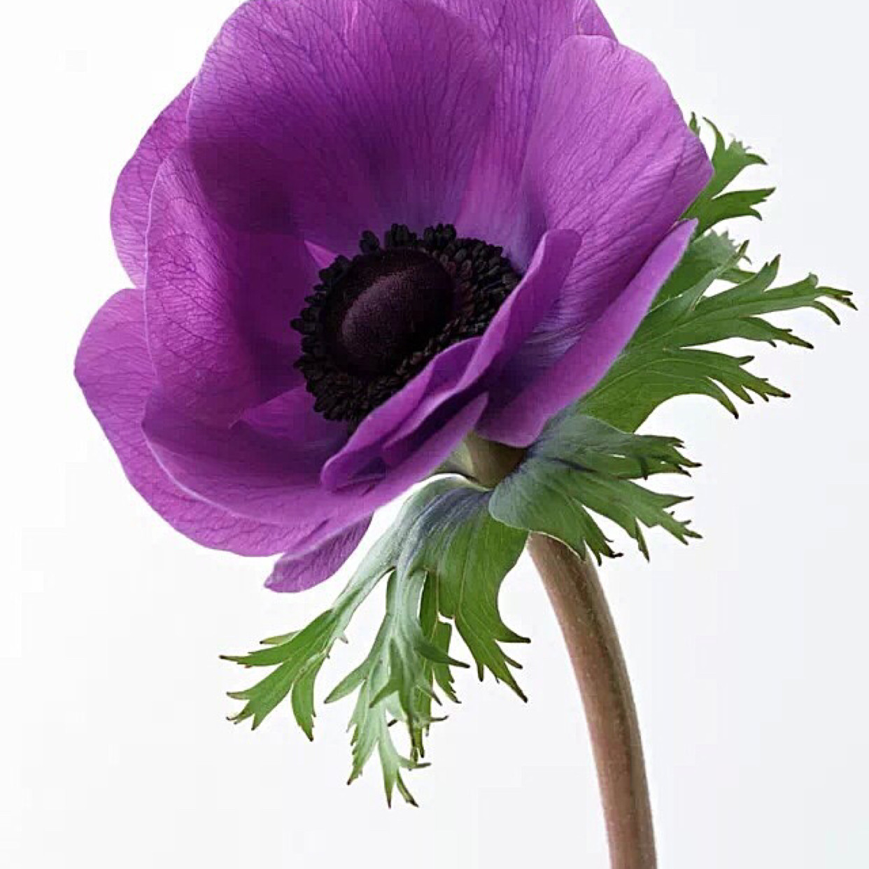 爱逛街为您找到乳木果润手霜相关的宝贝,您可以在下面的板块中挑选