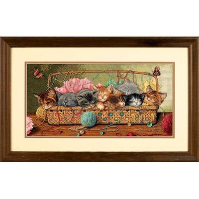 DIM35184 Kitty Litter One Basket Cat American Original Set Big Gold Spot Spot