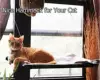 Товары от 巴蒂猫砂（宠物用品）