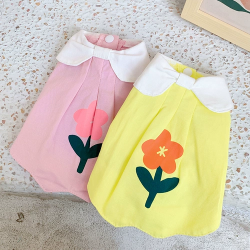 Юбка для домашних животных собак и одежда для кошек лето тонкая безволосая кошка Скюенари Тедди Белль медведь маленькая собака лето