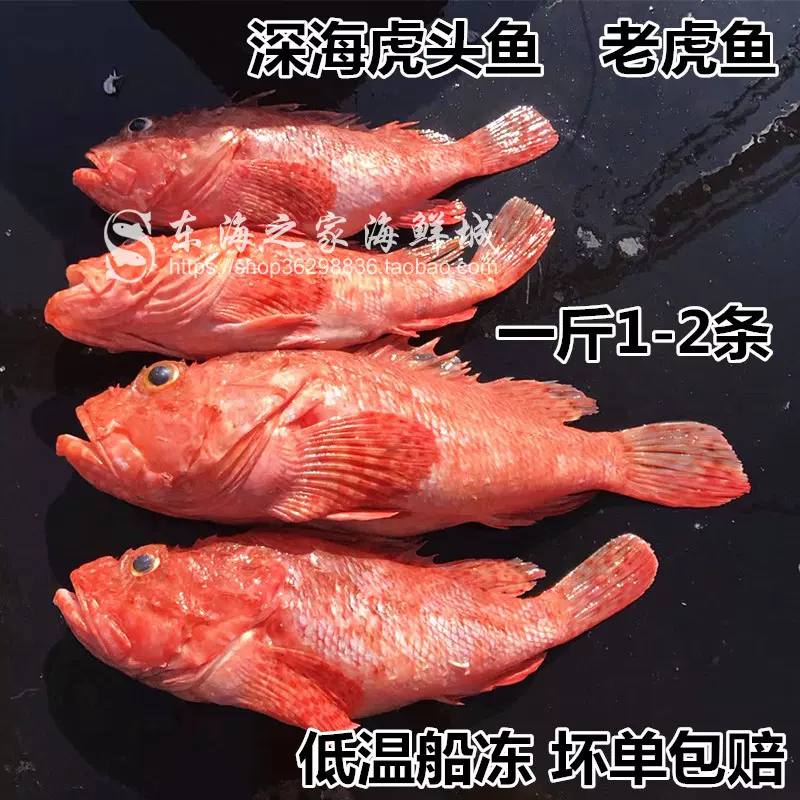 海钓真鲷鱼鲜活速冻加吉鱼铜盆鱼深海鱼海鲜刺身整条冷冻水产6斤6 Taobao