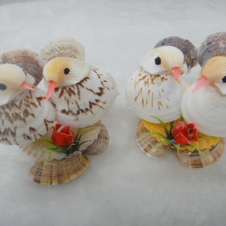 贝壳小动物贝壳双鸟贝壳海螺工艺品批发地摊热销产品小摆件批发