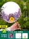 Вечная жизнь Flower Group Fan [успех] Основные модели отправляют клей