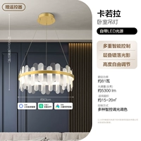 【Интеллектуальное управление】Карола-Смолл