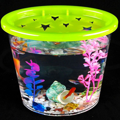 爱逛街为您找到水族鱼缸相关的宝贝,您可以在下面的板块中挑选喜欢的