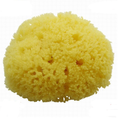 【蜂窝海绵】_海绵丝海绵图片_价格_搭配分享 - 爱逛街手机版