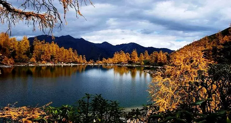 油草河景区图片