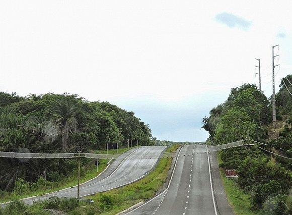 那些高速路边给动物搭建的暖心通道