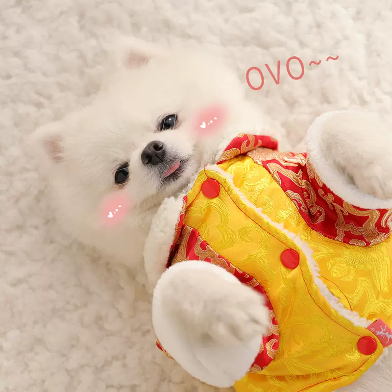 狗狗舞狮装宠物狗衣服抖音同款舞狮子舞龙小型犬泰迪网红搞怪唐装