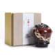 Jingdezhen Tianmu Jianzhan dát bạc gốm Tea Pot Mini Men màu lưu trữ kín Hộp trà đóng gói Hộp trà - Trà sứ