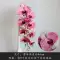 cây giả trang trí Hoa lan hồ điệp đơn nhân tạo hoa lan lá nhân tạo hoa trang trí hoa nhựa chậu trưng bày sàn trong nhà cắm hoa cành mai giả trúc giả Cây hoa trang trí
