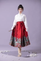 Qianli Rivers Mountain Red 8 -точка юбка для лапши лошади