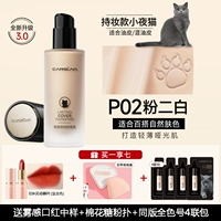 【3.0 Обновленная версия】 Масляная кожа-P02 Натуральный тон кожи 【Ночной контроль кошачьего масло и макияж】