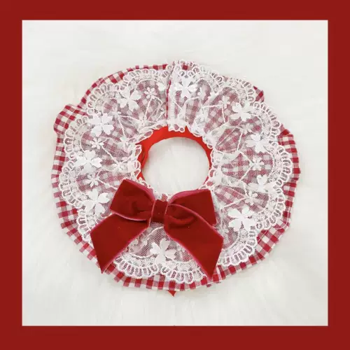 Кот, окружающая шею, собачья рта, водяное полотенце, британская короткая и белая ткань