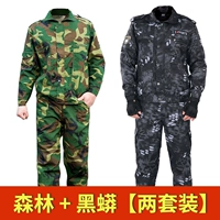 Высокий лес+высокий черный питон [2 комплекса] (рекомендуется)