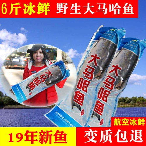 Big Maha Fish Fresh Fresh Free Shipping Funyuan Specialty Big Maha Fish Ice 2019 Новая рыба шесть фунтов