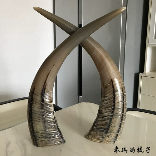 Аутентичное натуральное исследование декоративного мастерства белого водного рога и украшения крыльца