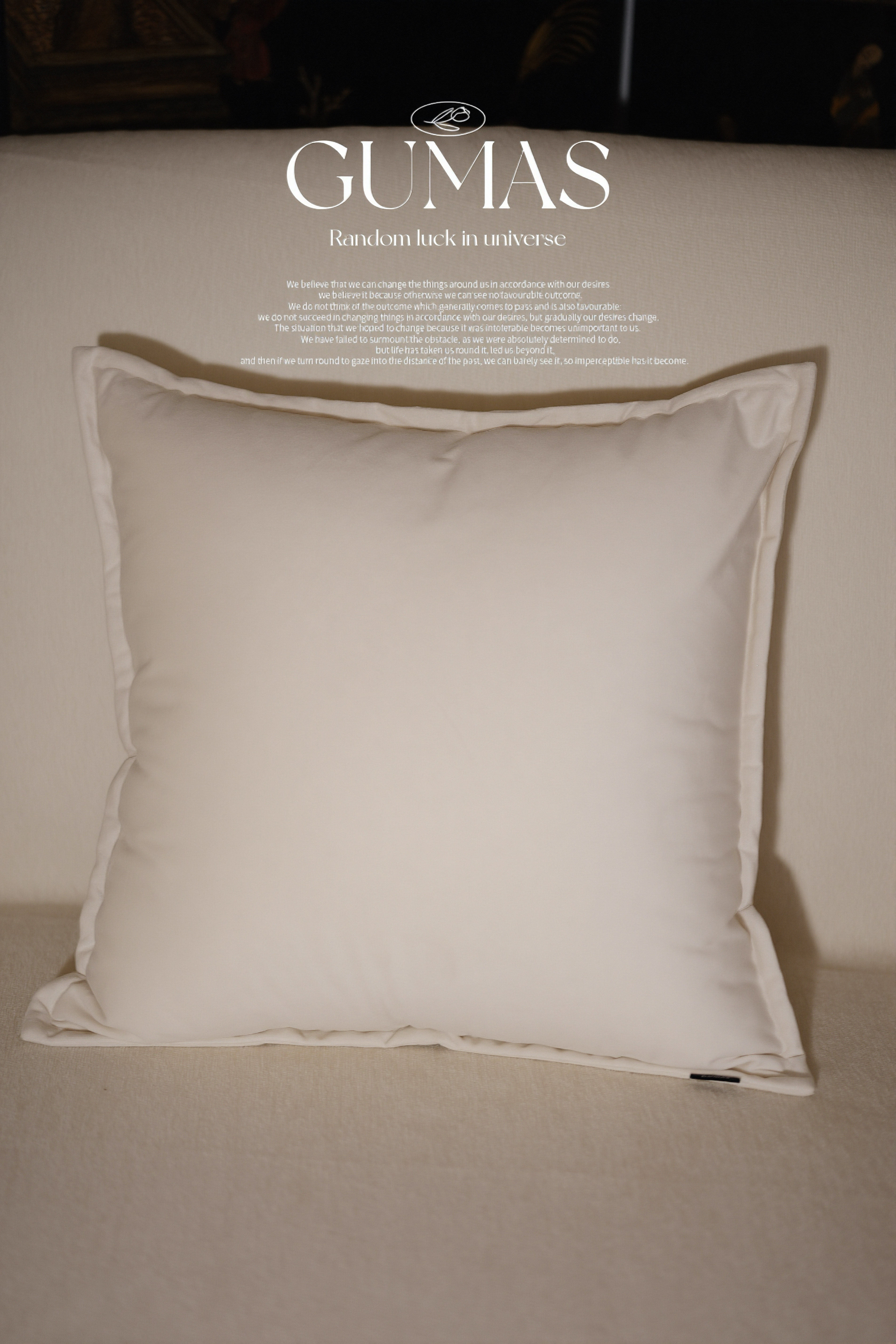 Product detail image