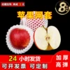 Товары от 丽辉水果网套工厂