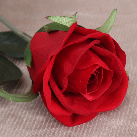 爱逛街为您找到高仿玫瑰花相关的宝贝,您可以在下面的板块中挑选喜欢