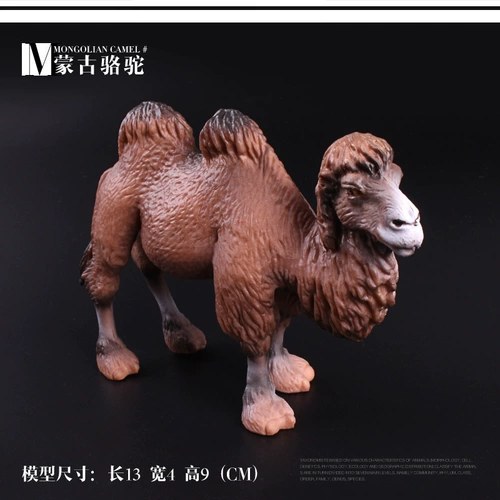 Детская имитация сердца похожа на модель игрушки дикой природы World Desert Double Peak Camel Cub Mongolian Camel