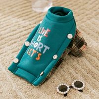 Легкий клетку