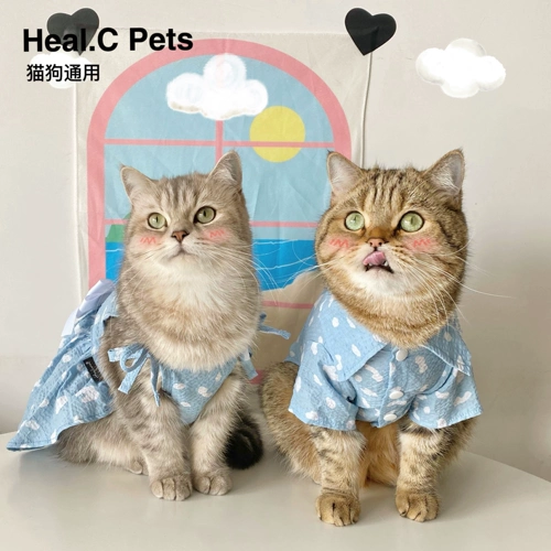 Оригинальный наряд маленькой принцессы с бантиком, парная одежда для влюбленных, шнурок-держатель