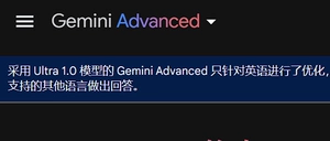 gemini [advanced  bard 个人独享 永久使用]