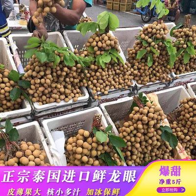 [泰国特产正宗金标龙眼鲜桂圆新鲜5斤整箱装热带水果现摘现发鲜果]