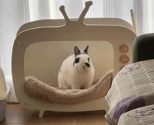Банни кошка Лочи, домашнее телевидение Tuwo Nest Pet Toy Toy Bunny TV Double Eleven не участвует