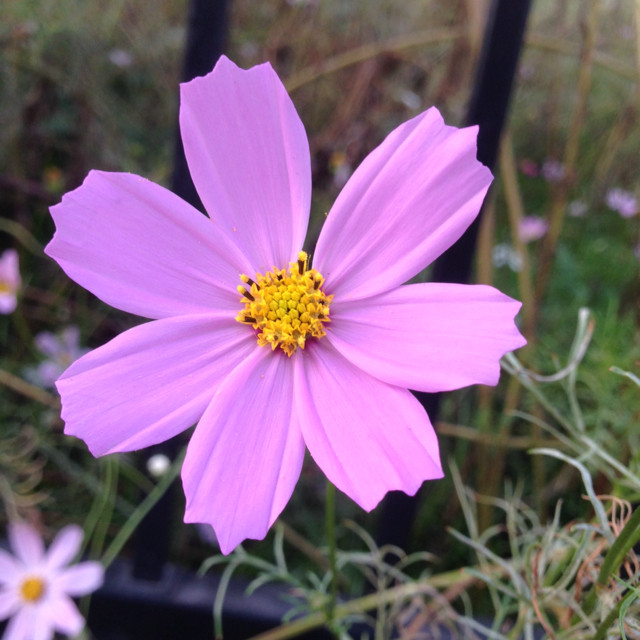 爱逛街为您找到乳木果护手霜相关的宝贝,您可以在下面的板块中挑选