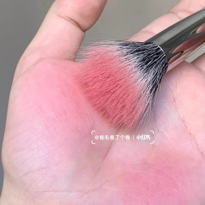 taobao agent My mother is no longer afraid of me!Point brush brush brush on makeup clear high saturation blush savior stars