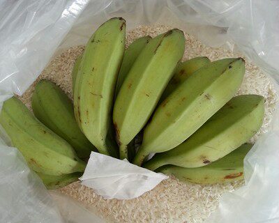 青香蕉催熟技巧(无催熟剂)