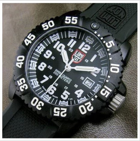 

Часы туристические Luminox 3051